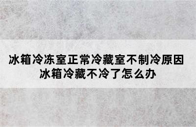 冰箱冷冻室正常冷藏室不制冷原因 冰箱冷藏不冷了怎么办